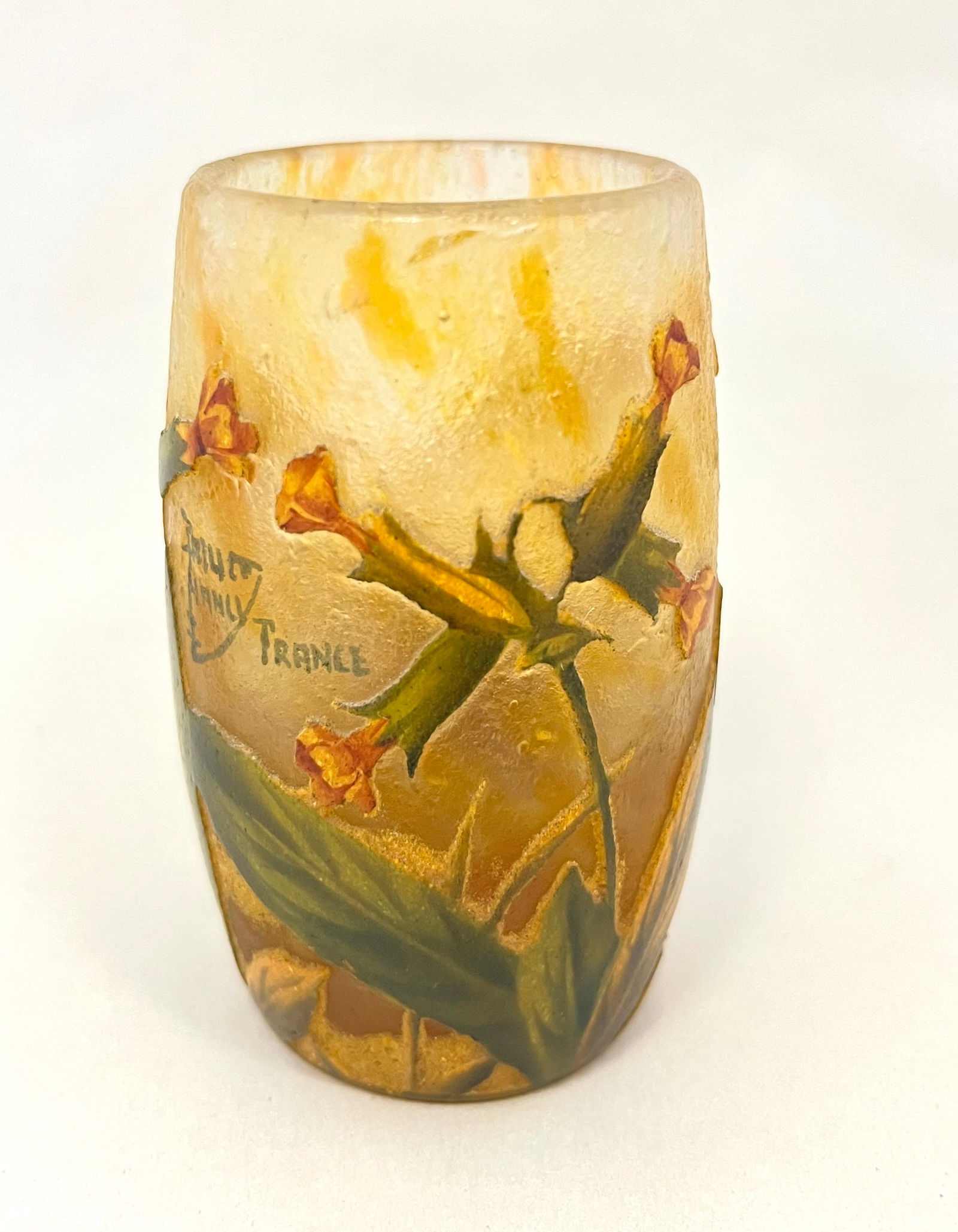 Daum Nancy French cameo tumbler (1 of 4)