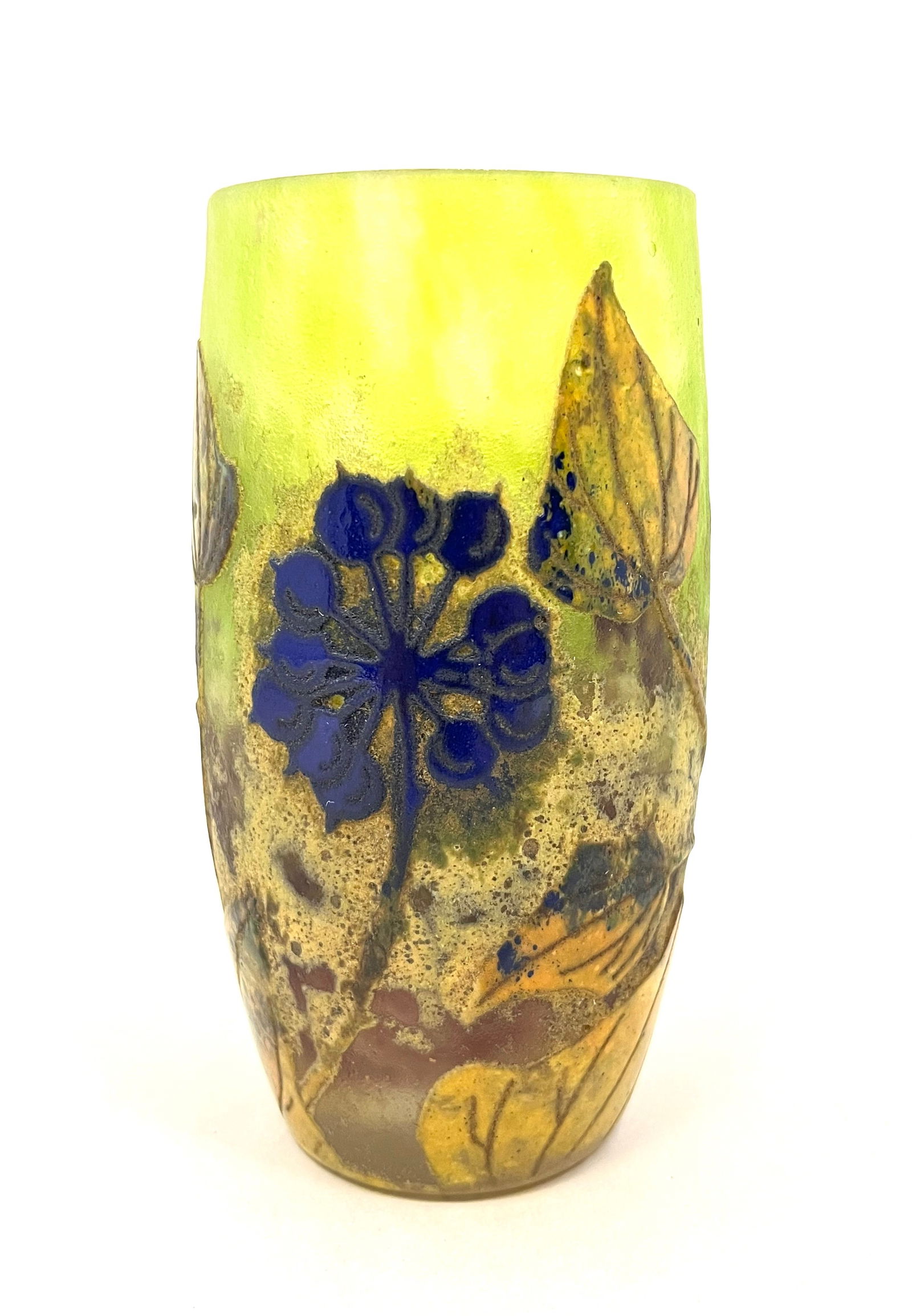 Daum Nancy French cameo tumbler (1 of 5)