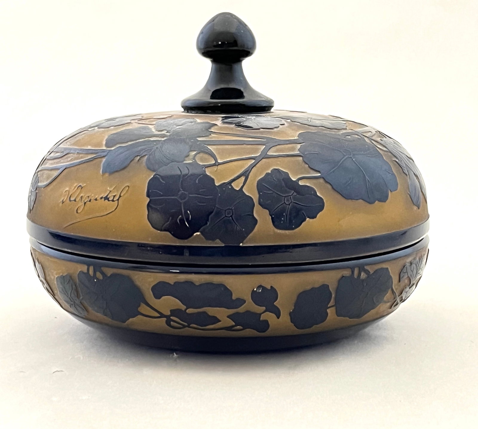 D' Argental French cameo covered box (1 of 5)