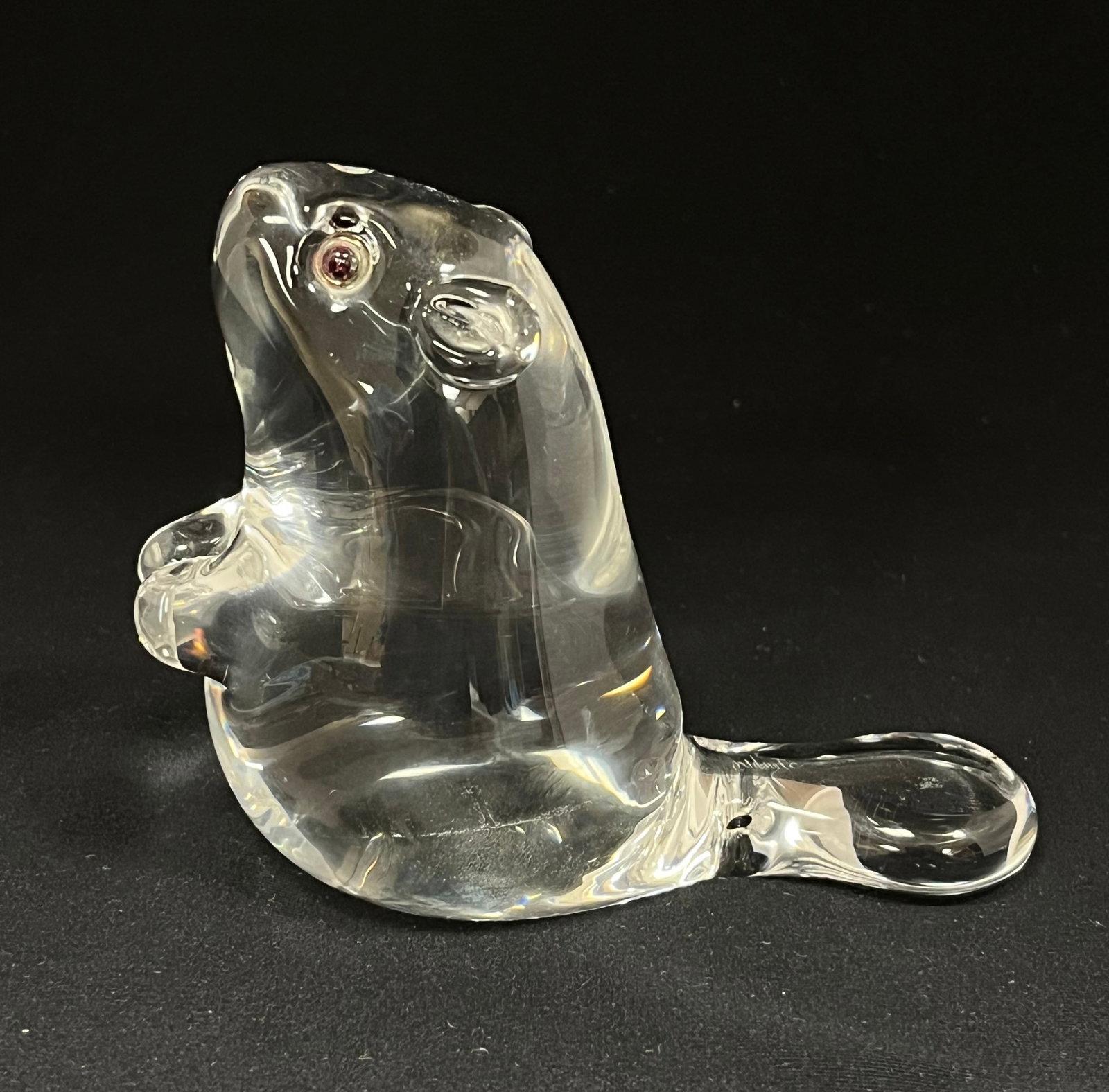 Steuben Beaver figurine: Steuben clear glass figuine of a seated Beaver with red eyes, signed Steuben, 4" ht. CONDITION: no chips, cracks, repairs or material defects found. Jaremos attempts to call any material flaw that aff