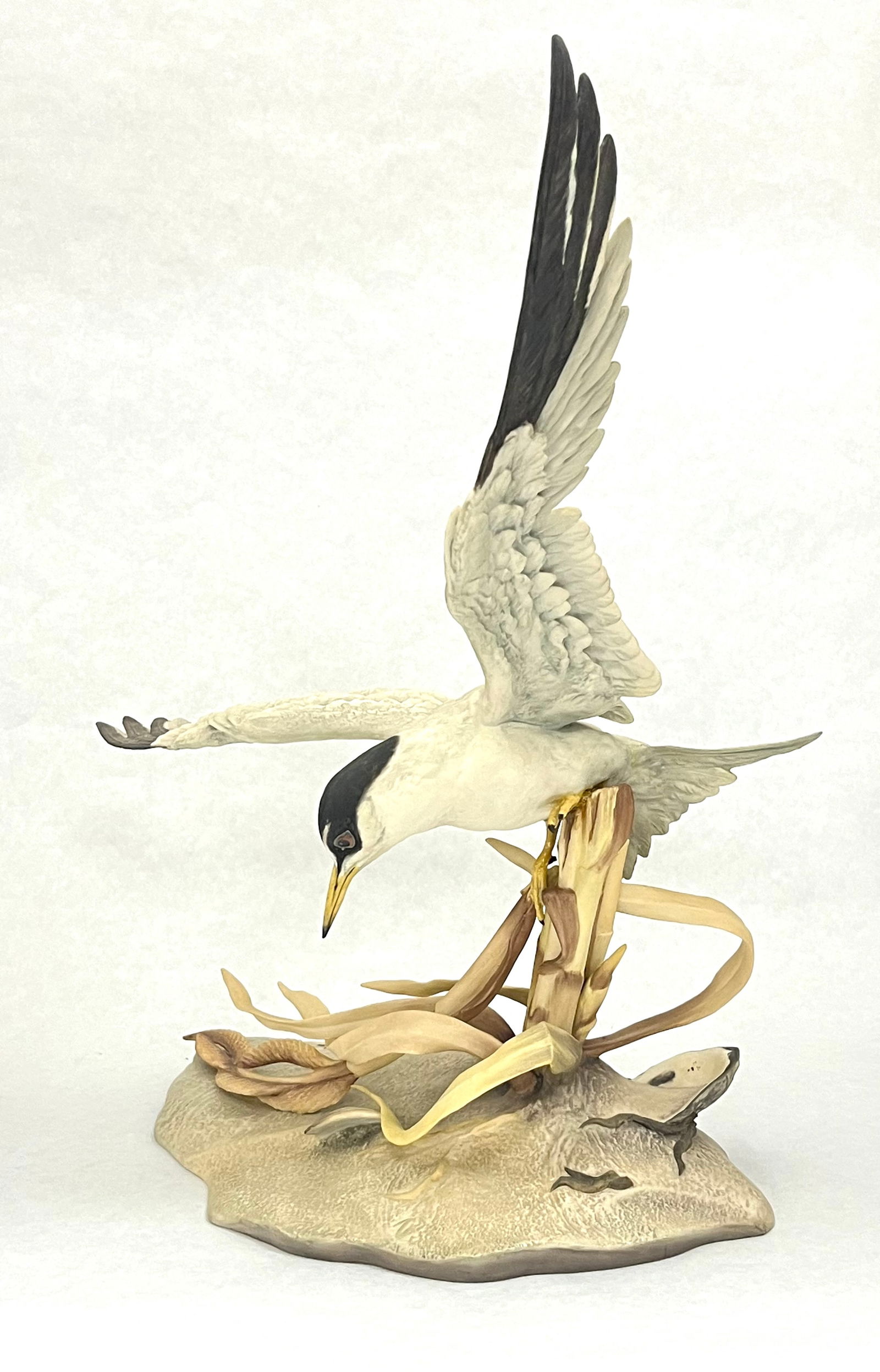 Boehm Least Tern bird sculpture (1 of 7)