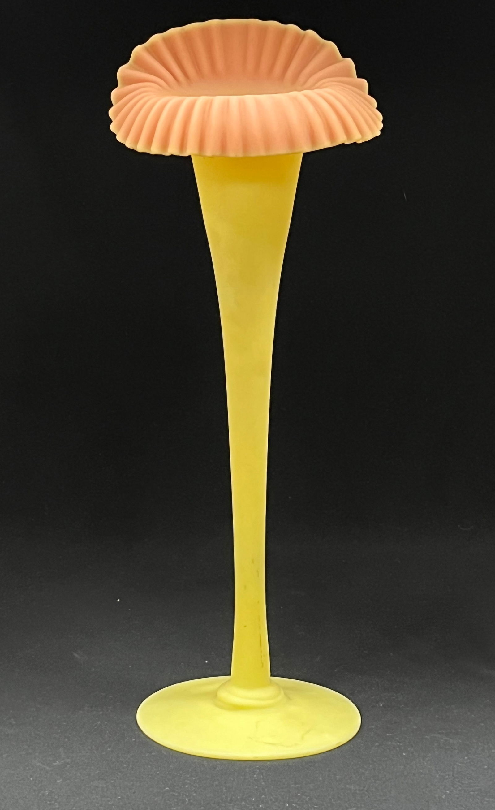 Mt. Washington Burmese Jack (1 of 5)