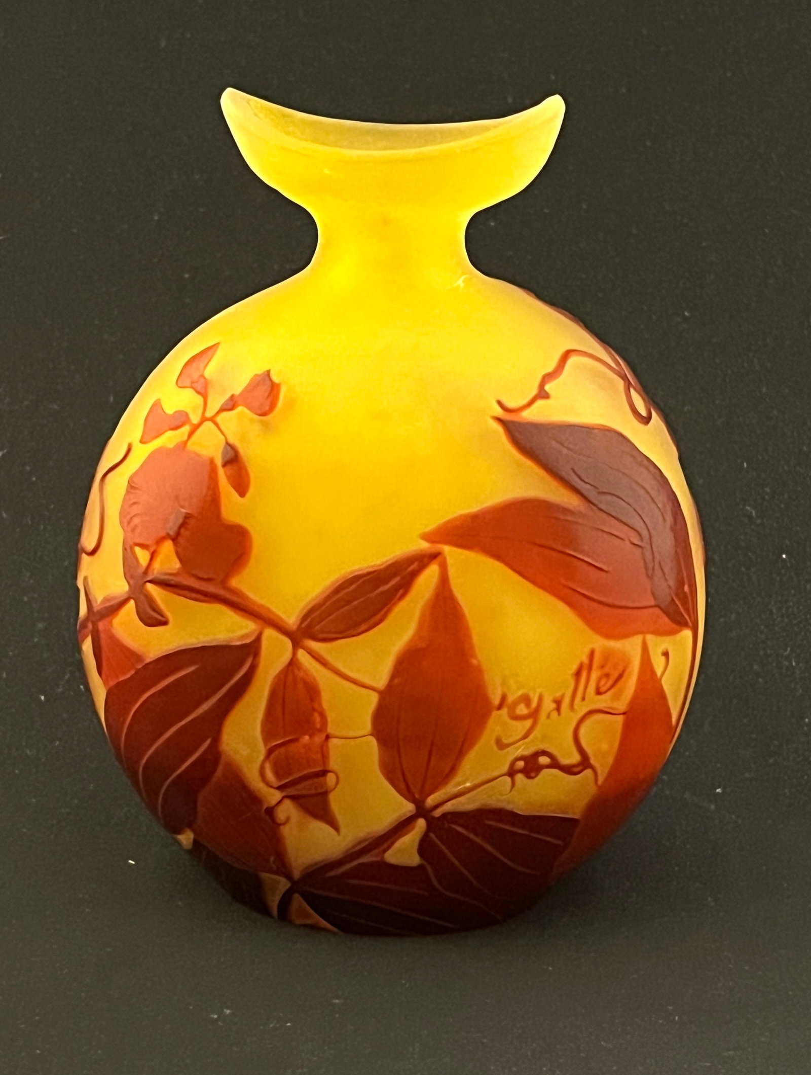 Galle French cameo glass vase (1 of 5)