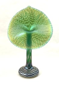 Steve Correia Jack-In-The-Pulpit