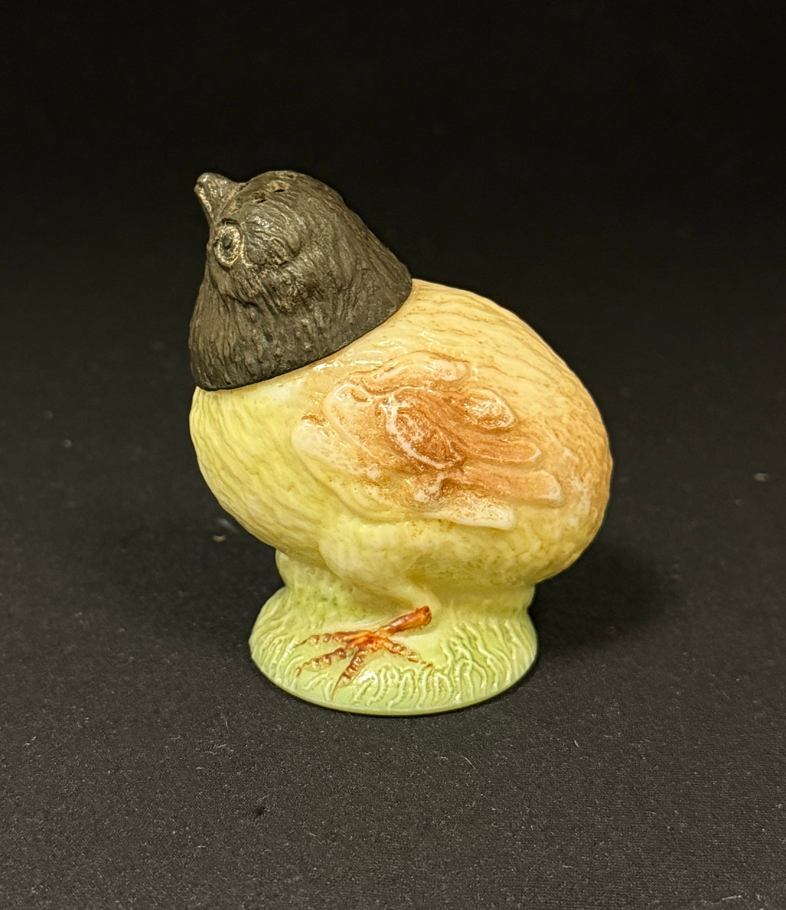 Mt. Washington Standing Chick (1 of 3)
