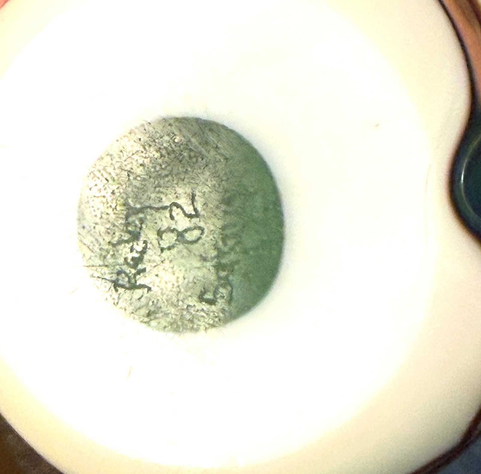 Satava Studios Paperweight - 3