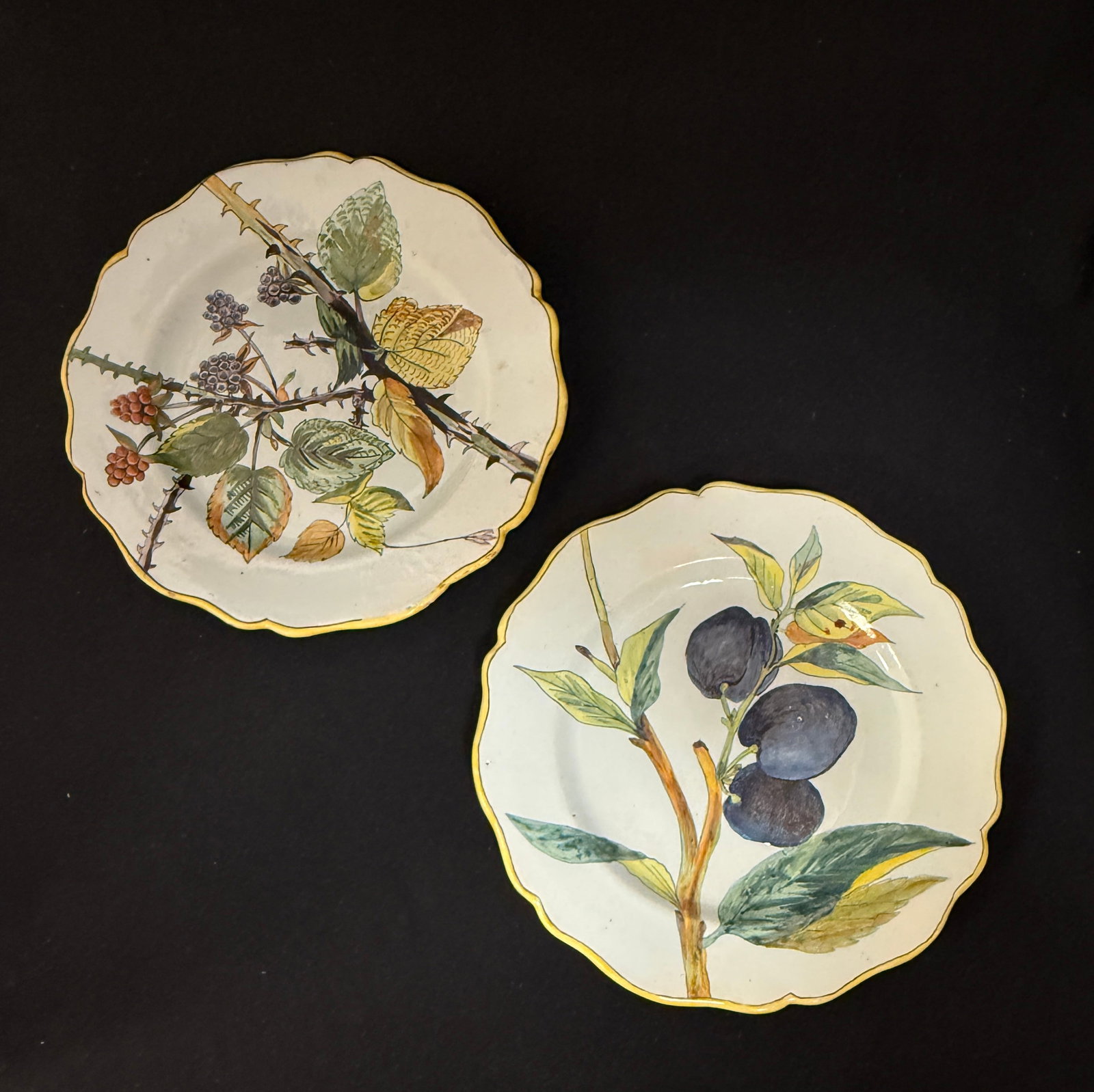 2 Porquier Beau Botanical Plates (1 of 4)