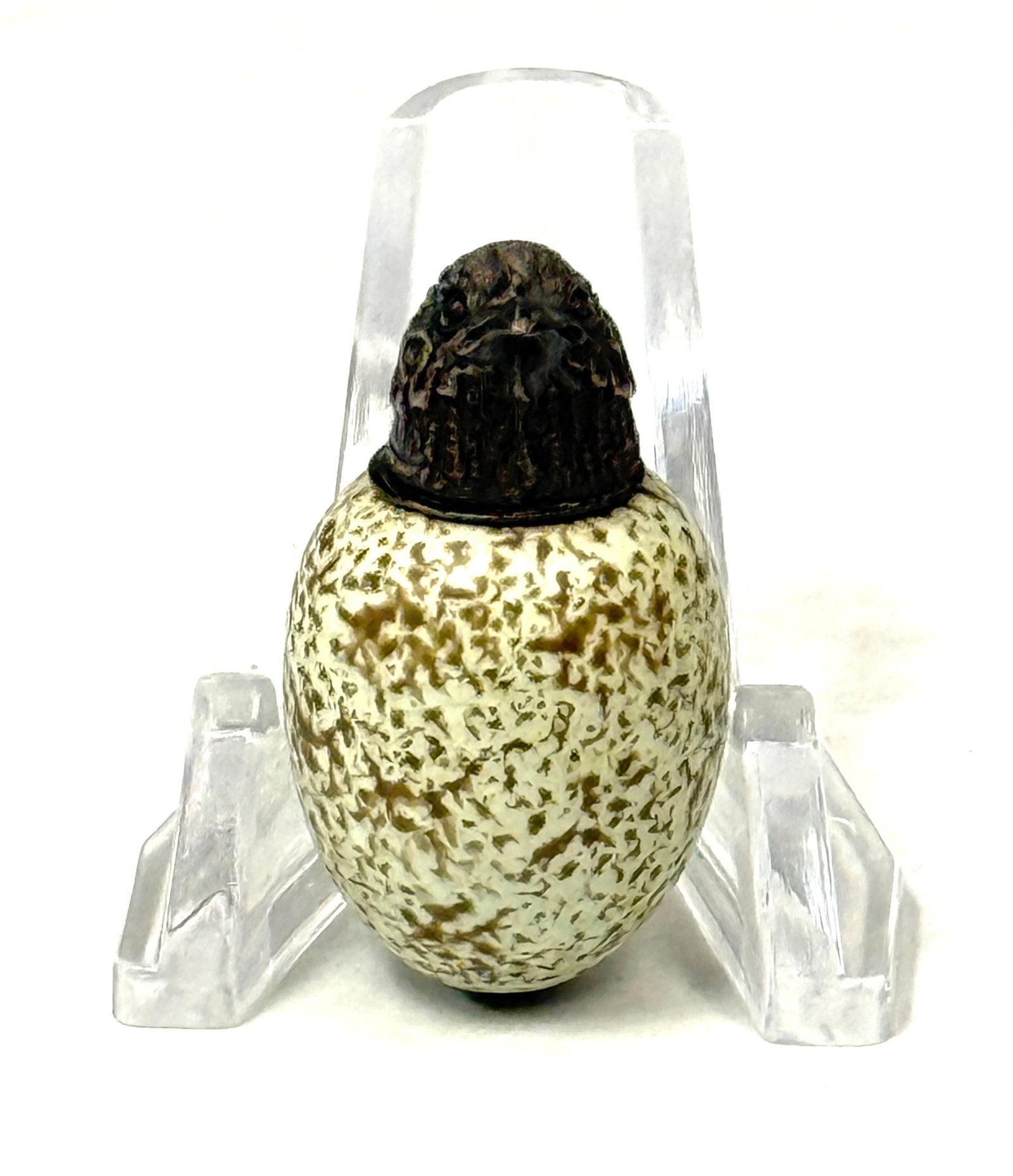 Rare Webb Egg Perfume - 3