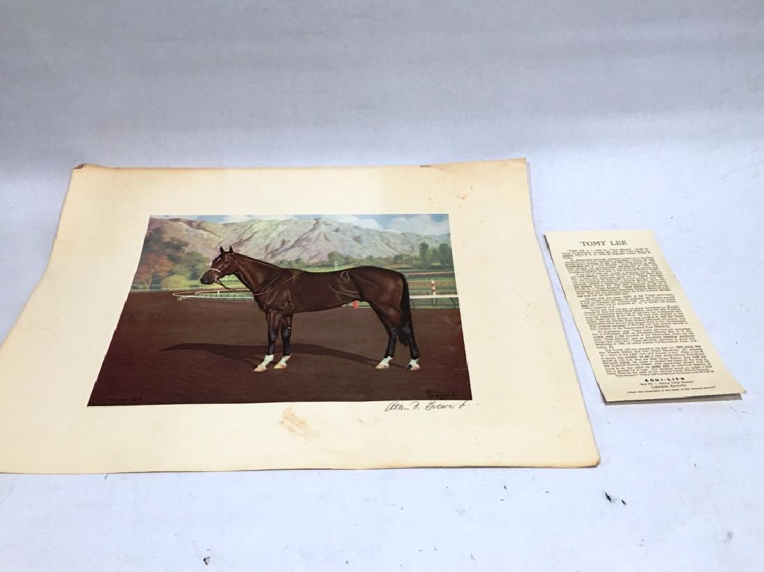 TOMY LEE BY ALLEN F. BREWER, JR.: WITH INFO PAPER, 22" X 17"