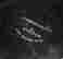 item-76240036=3