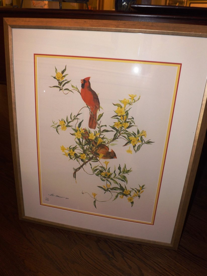 Cardinal