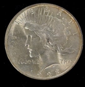 1923 Peace Dollar Coin