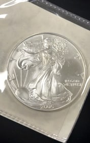 2005 American Silver Eagle Dollar Coin