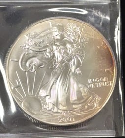 2001 American Silver Eagle Dollar Coin