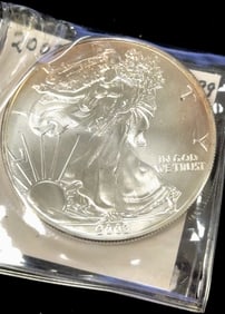 2003 American Silver Eagle Dollar Coin