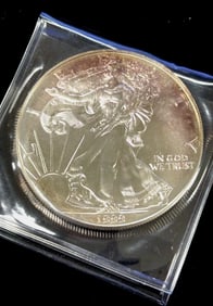 1999 American Silver Eagle Dollar Coin