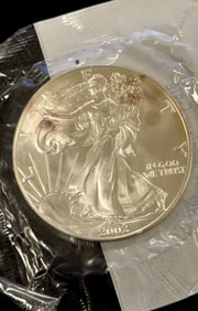 2002 American Silver Eagle Dollar Coin
