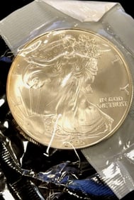 2005 American Silver Eagle Dollar Coin