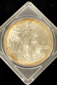 2002 American Silver Eagle Dollar Coin