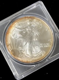 2002 American Silver Eagle Dollar Coin
