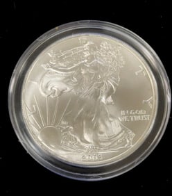 2003 American Silver Eagle Dollar Coin