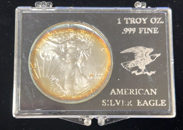 1989 American Silver Eagle Dollar Coin (1 of 2)