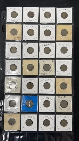 28 Buffalo Head Nickels (1 of 2)