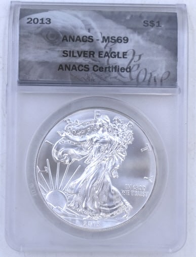2013 American Silver Eagle Coin (1 of 2)