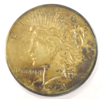 1924 American Peace Silver Dollar: Ungraded American Peace Silver Dollar, please see photos.