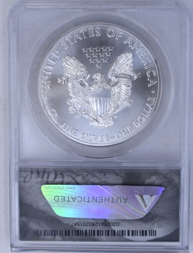 2013 American Silver Eagle Coin - 2