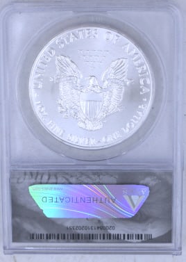 2016 American Silver Eagle Coin MS69 - 2