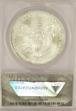 2001 American Silver Eagle Coin - 2