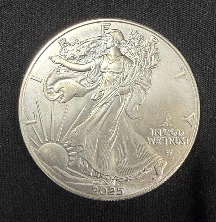 2025 American Eagle 1oz Silver Dollar: Fine Silver, Please Grade from Photos