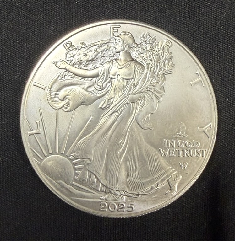 2025 American Eagle 1oz Silver Dollar: Fine Silver, Please Grade from Photos