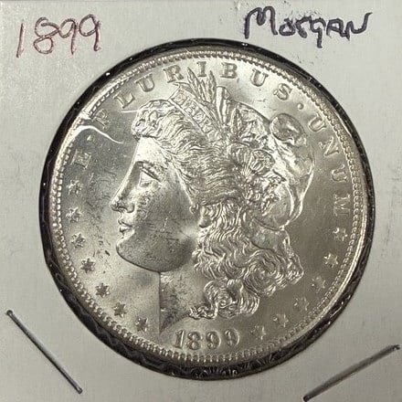 1899-O Morgan Dollar: $1, See photos for grading