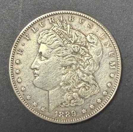 1889 Morgan Dollar (1 of 2)