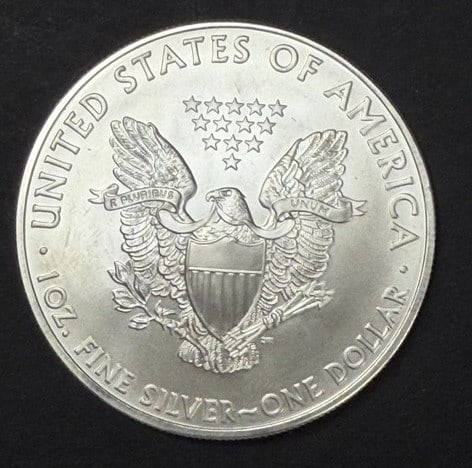 2009 American Fine Silver Eagle Dollar - 2