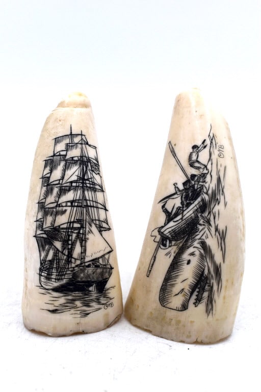 Pair of Scrimshaw Signed CMB: Each horn is 3.25 inches long by 1.75 inches wide, no significant damage, signed CMB, please see photos.