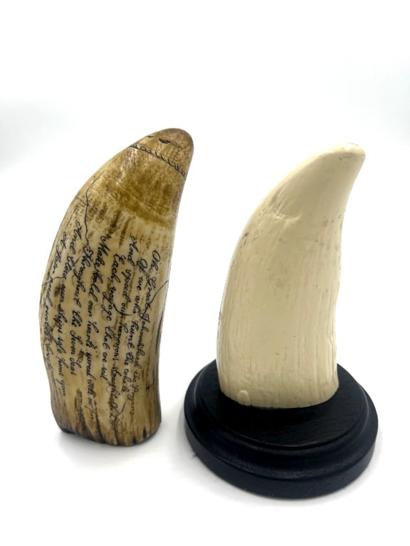 2 Scrimshaw Teeth Replicas - 2