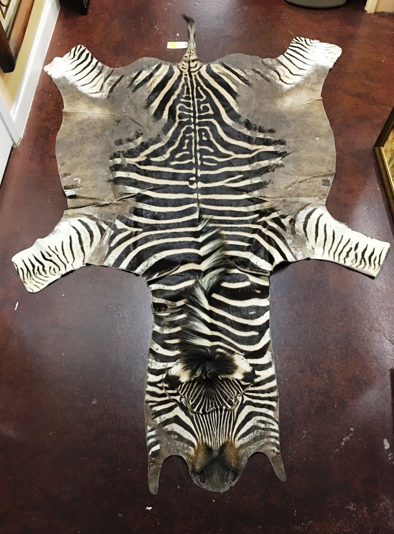ZEBRA SKIN RUG: 104" length x 80" wide