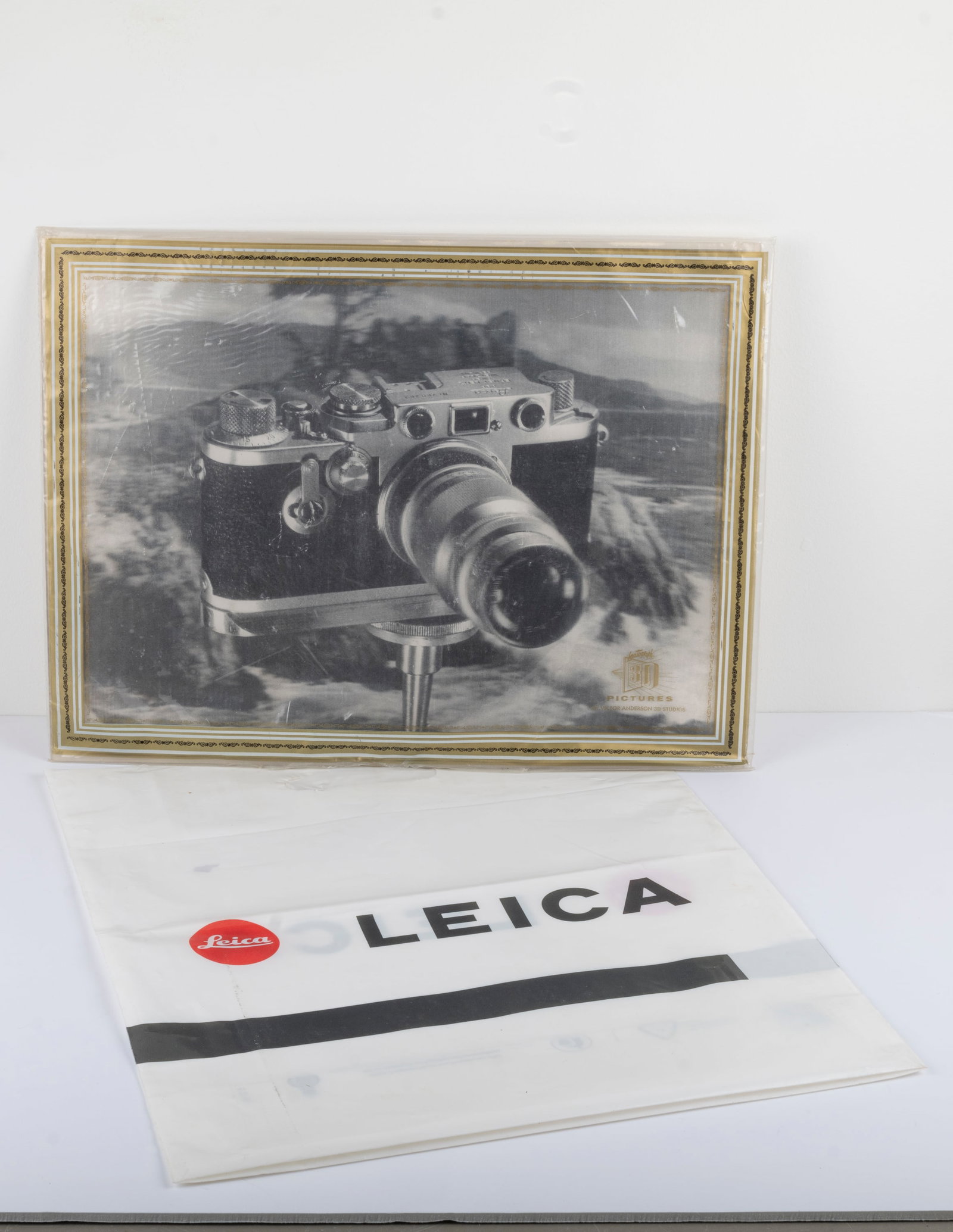 Leica IIIf Lentograph (1 of 9)