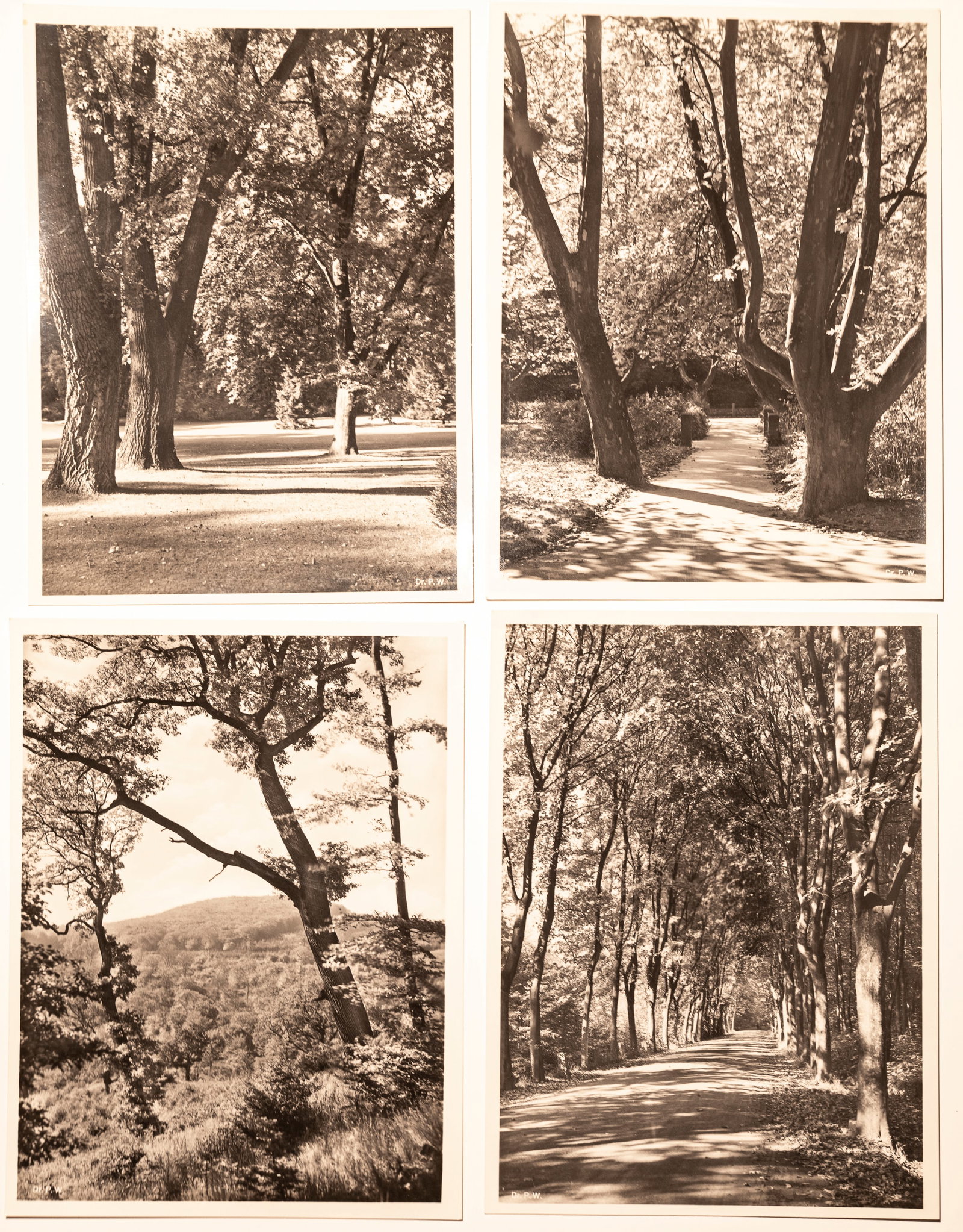 Six landscape prints by Dr. Paul Wolff (1 of 16)