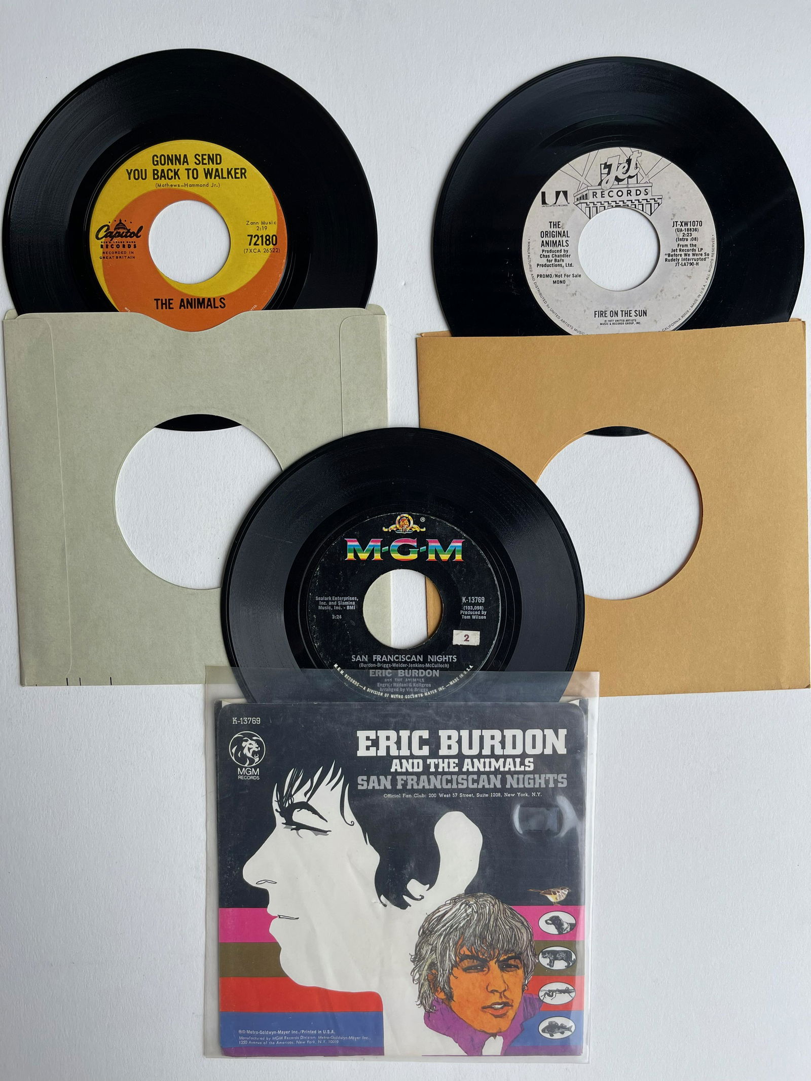 THE ANIMALS SET #1 (1 of 1)