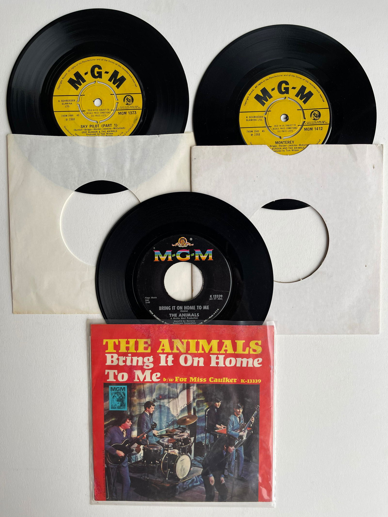 THE ANIMALS SET #3 (1 of 1)