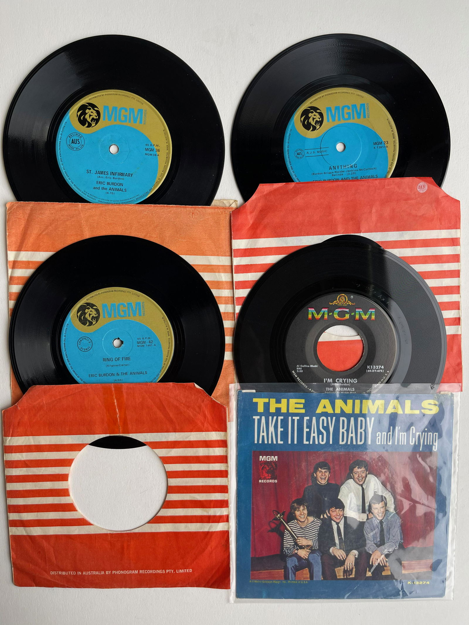 THE ANIMALS SET #6 (1 of 1)