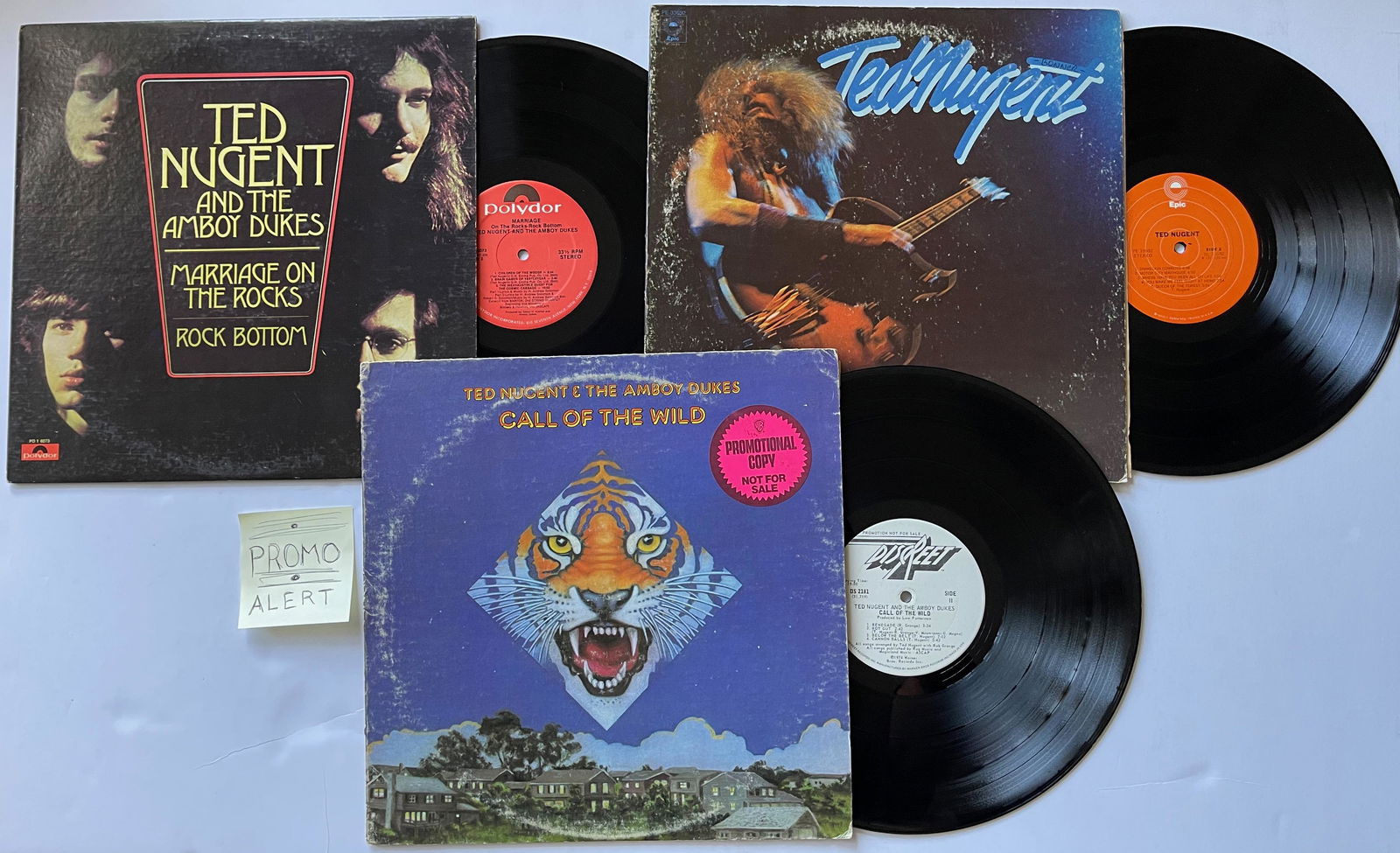 TED NUGENT - Amboy Dukes - PROMO (1 of 1)