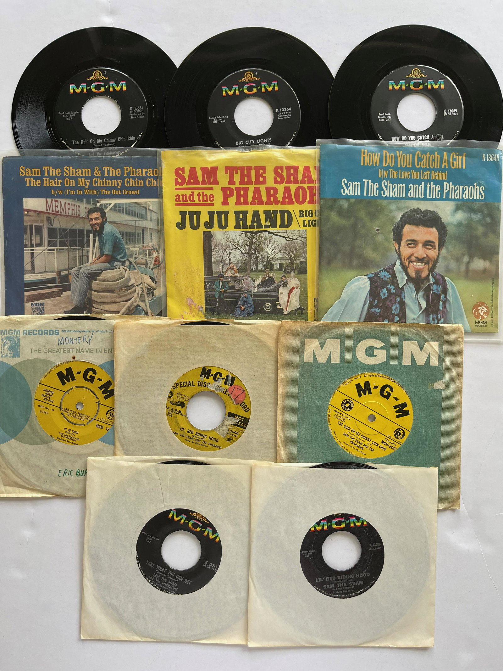 SAM THE SHAM AND THE PHARAOHS (1 of 1)