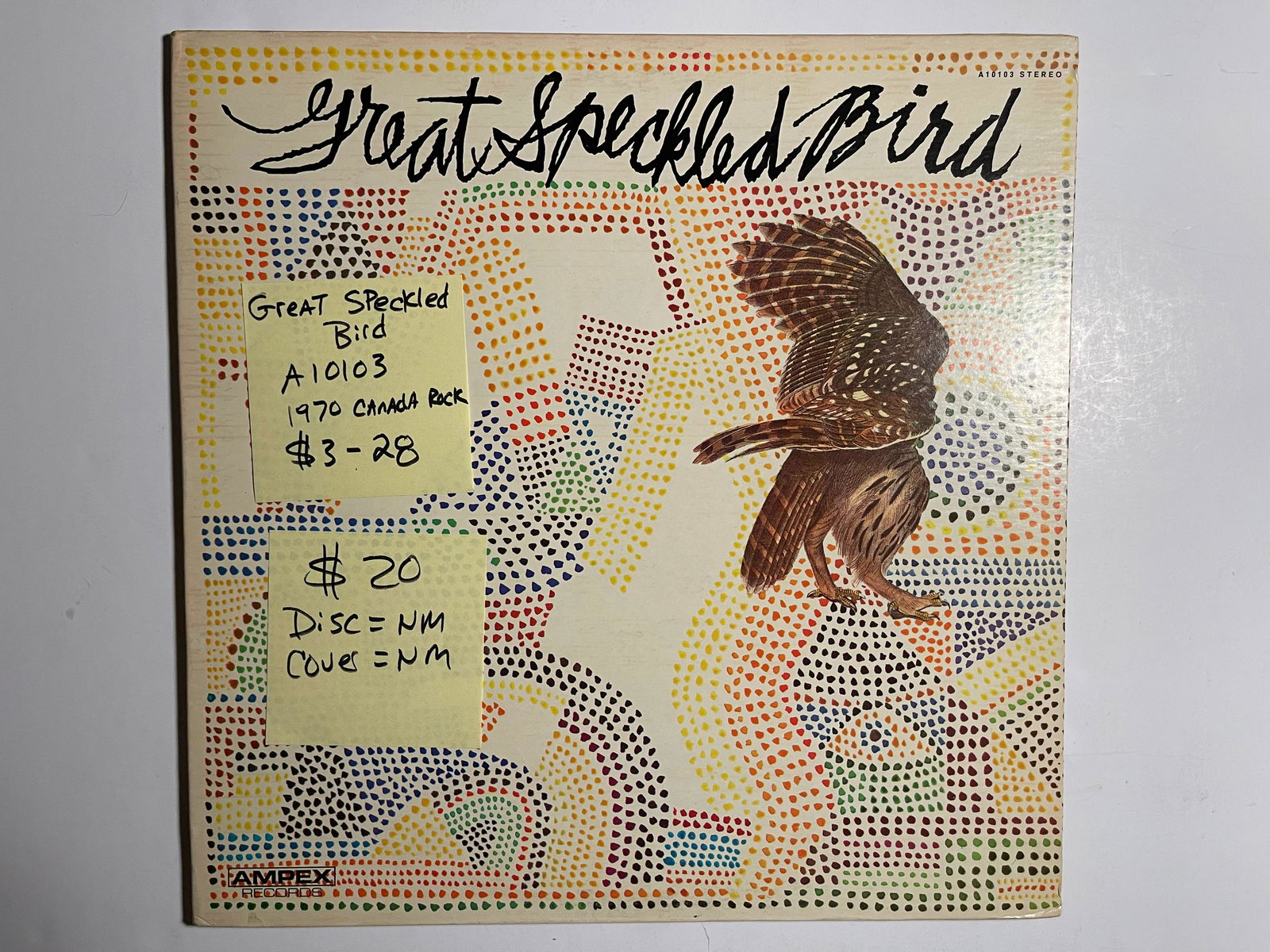 GREAT SPECKLED BIRD (1 of 1)