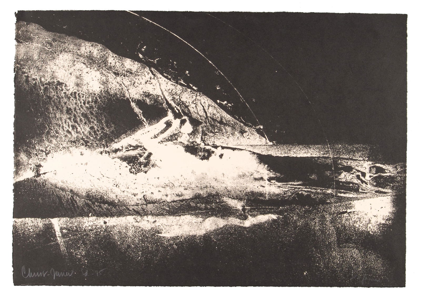 Albert Christ-Janer - Sea Forms. SIGNED (1 of 2)