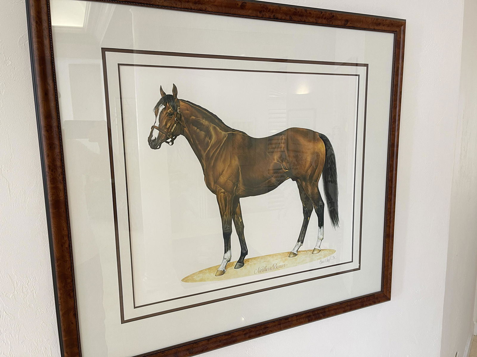 ELAINE MACPHERSON SIGNED PRINT - NORTHERN DANCER (1 of 5)